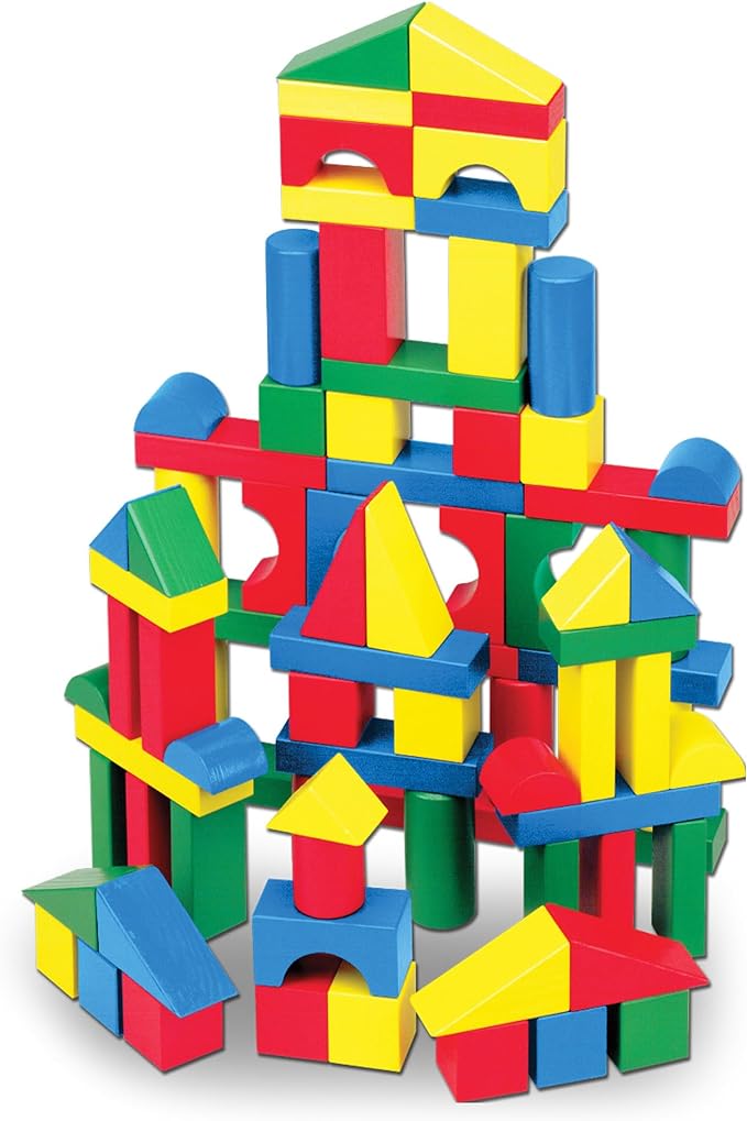 Wooden Blocks Set 100pc